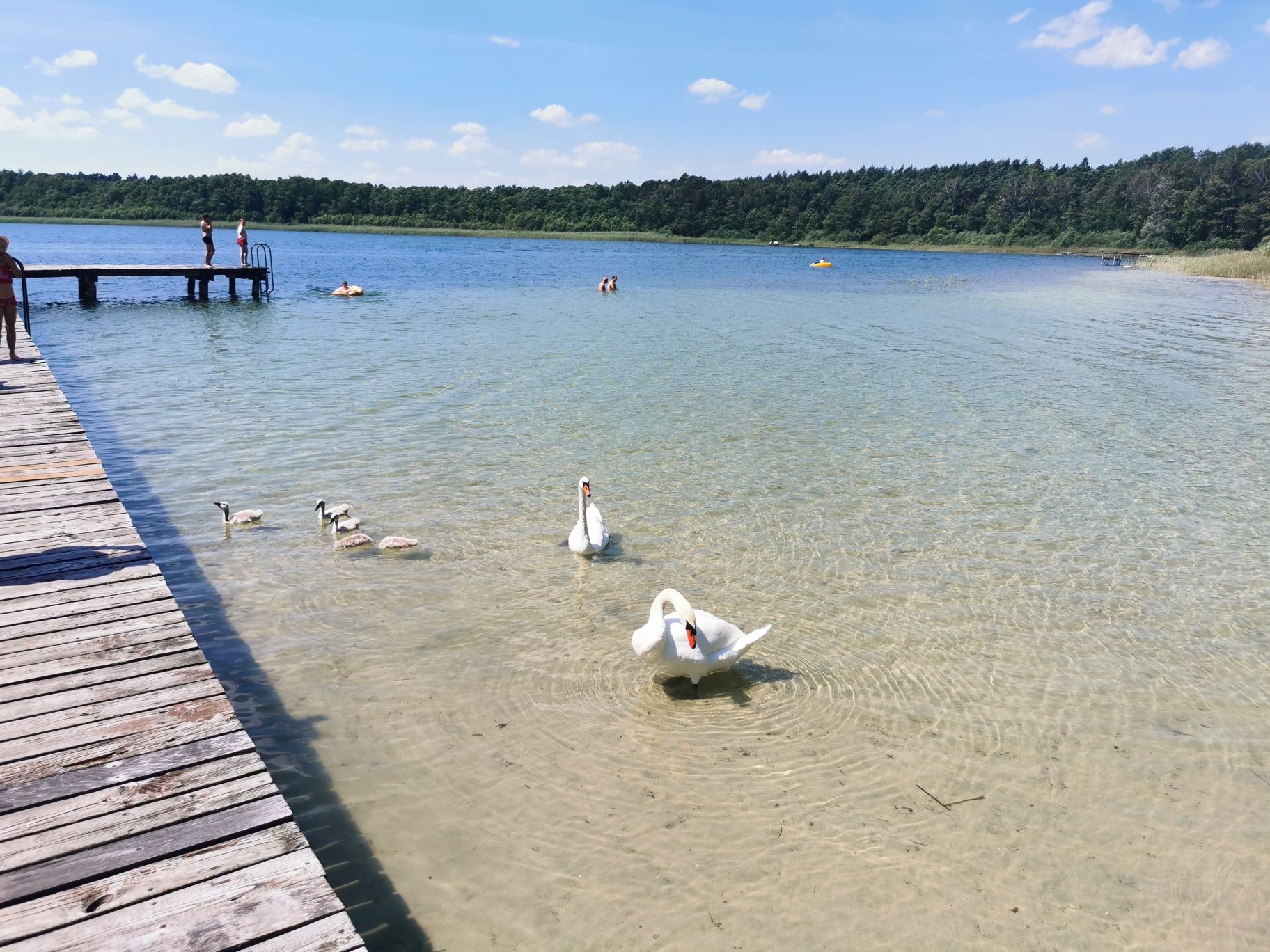 Kinice domek drewniany nad jeziorem. Klimatyzacja.