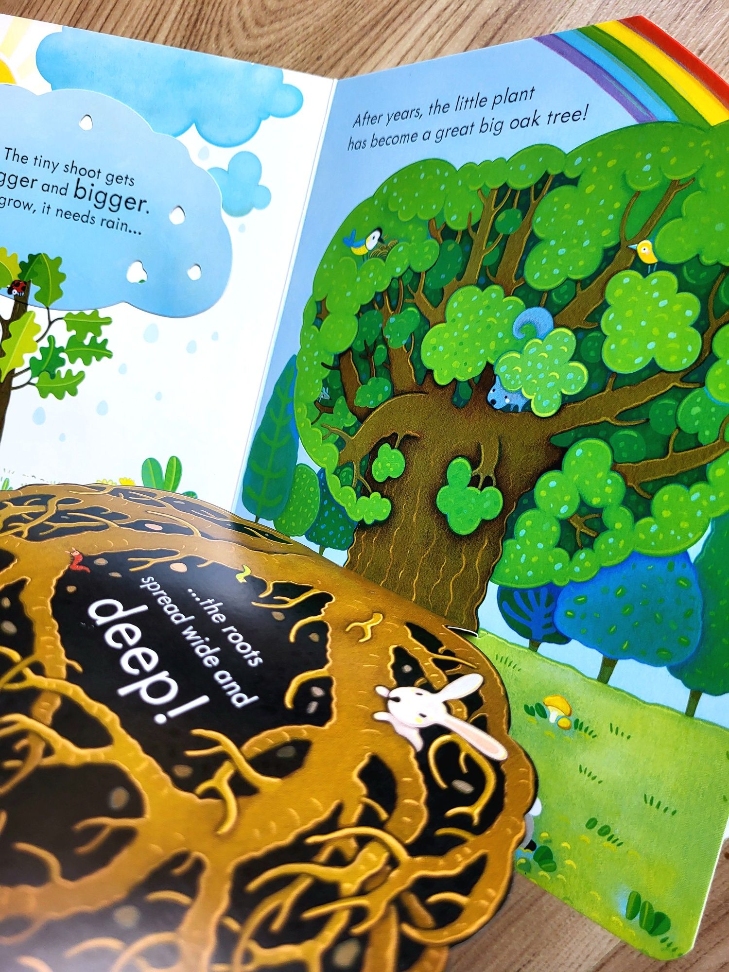 A Tree Usborne Peep Inside z okienkami po angielsku