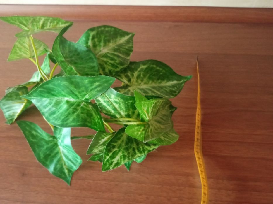 Płyty CD  dla dzieci 2 sztuki