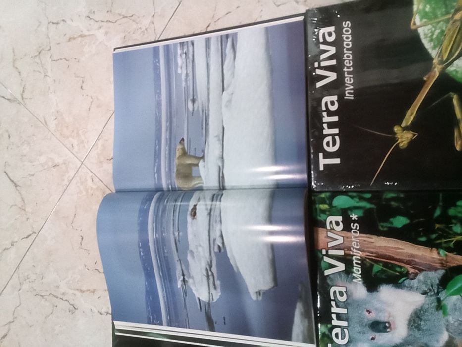 Livros coleção Terra Viva Animais