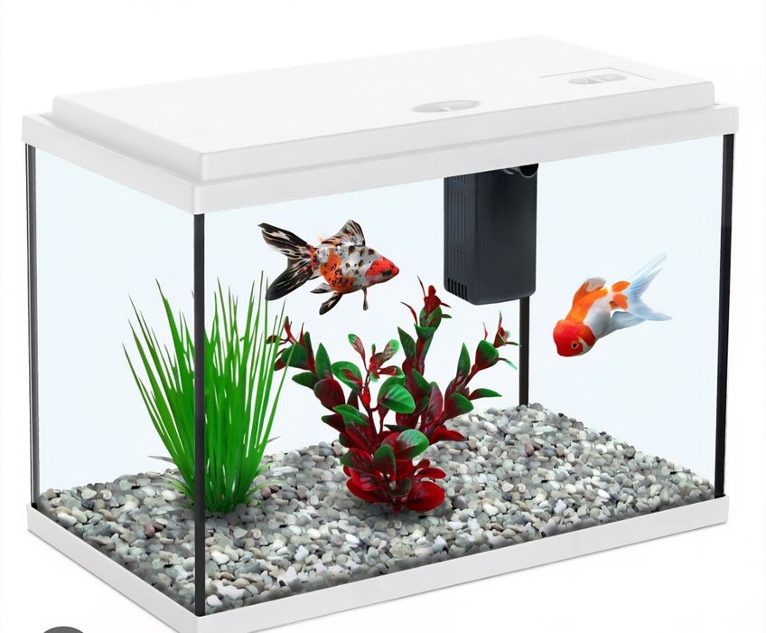 Aquário de diferentes tamanhos