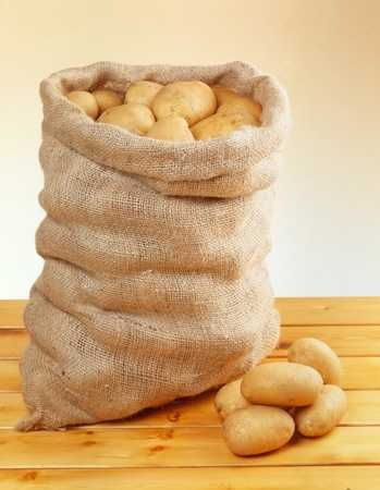 Ziemniaki SORAYA i Queen Anne