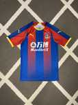 Męska sportowa koszulka piłkarska Puma Crystal Palace FC Home 2018/19