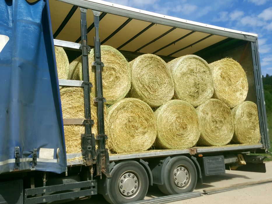 Siano z pierwszego pokosu 2025 dla koni z dowozem