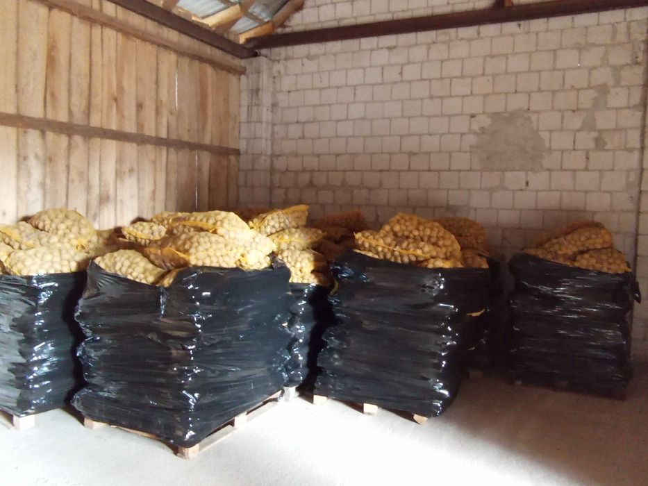 Ziemniaki Volumia kaliber 35-55