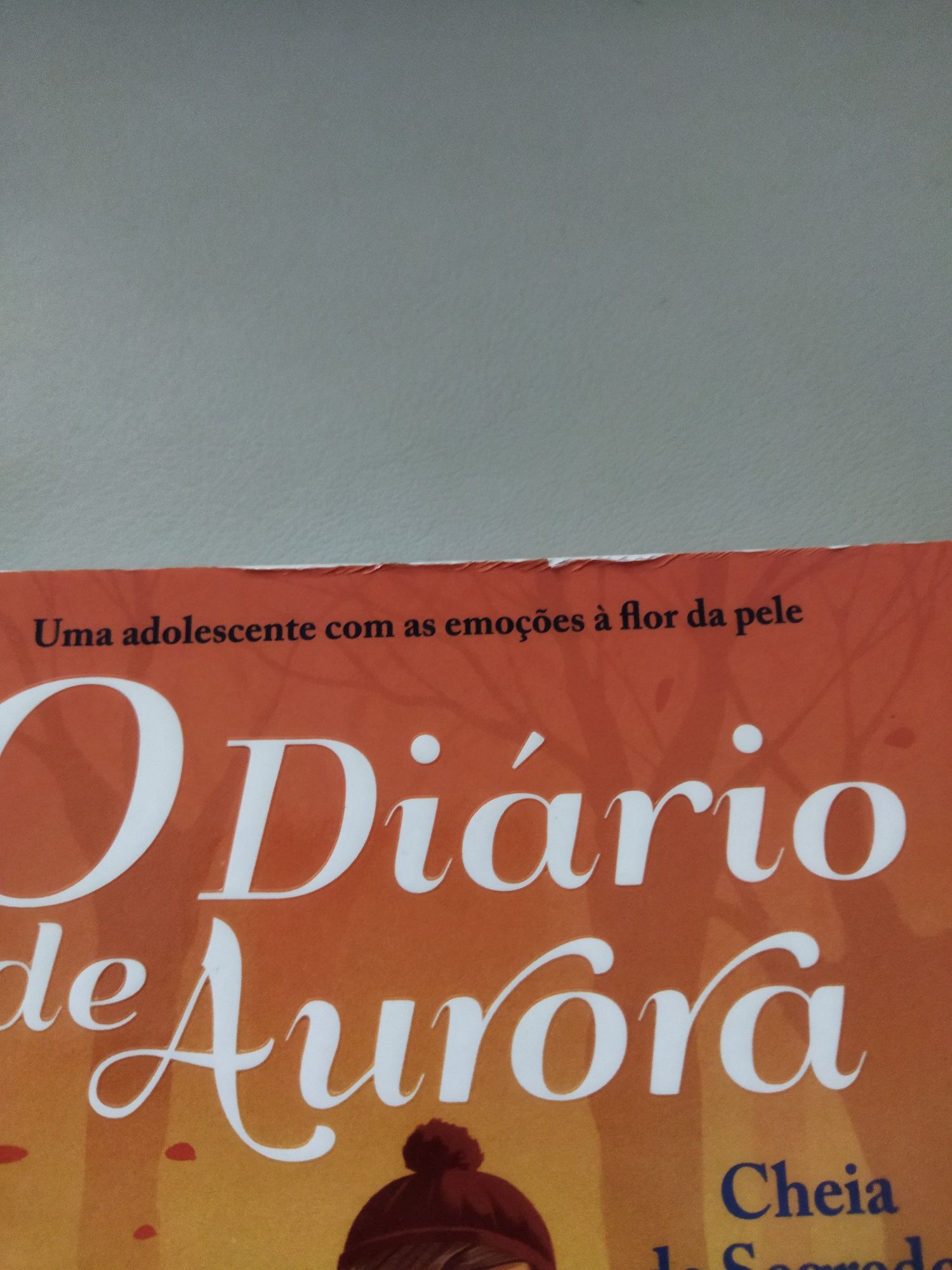 O diário de aurora - livro 7