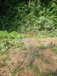 Terreno  para venda