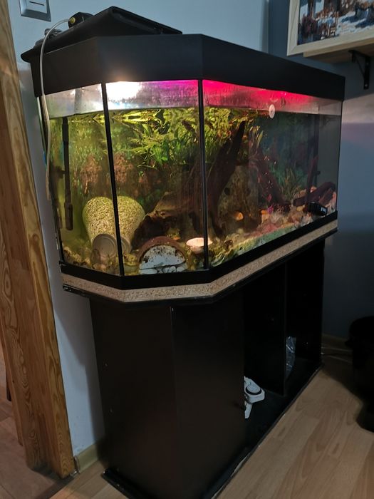 Akwarium trapezowe ok. 210L – kompletny zestaw