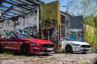 Wynajem Ford Mustang GT 5.0 V8 Kabriolet Olkusz, PROMOCJA wynajem