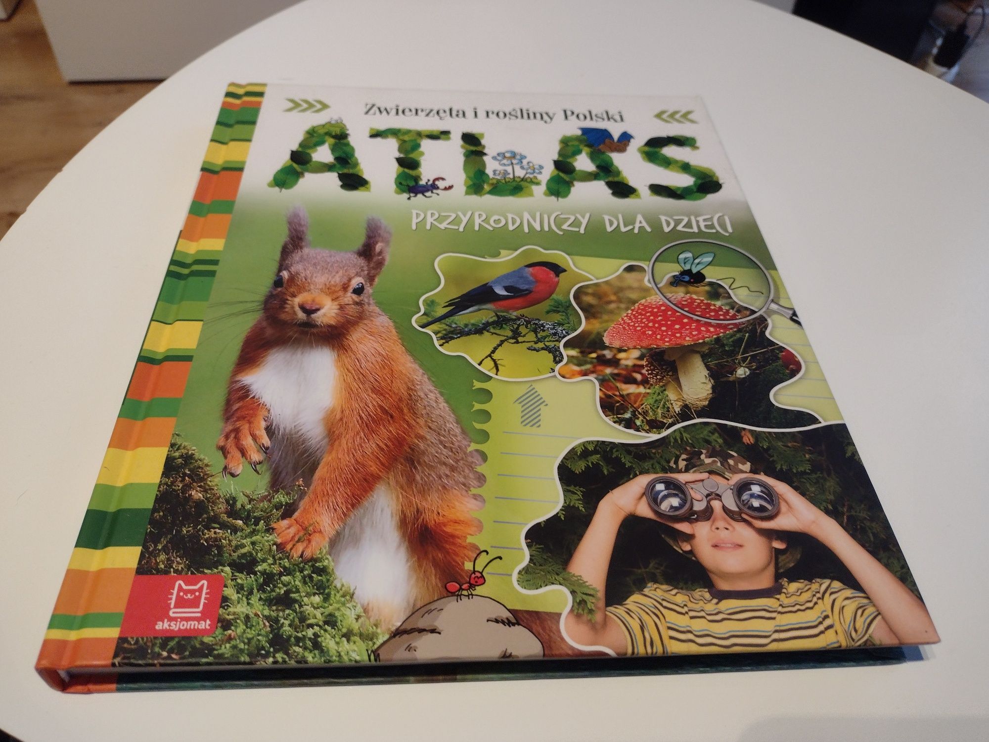 Atlas przyrodniczy dla dzieci zwierzęta i rośliny Polski