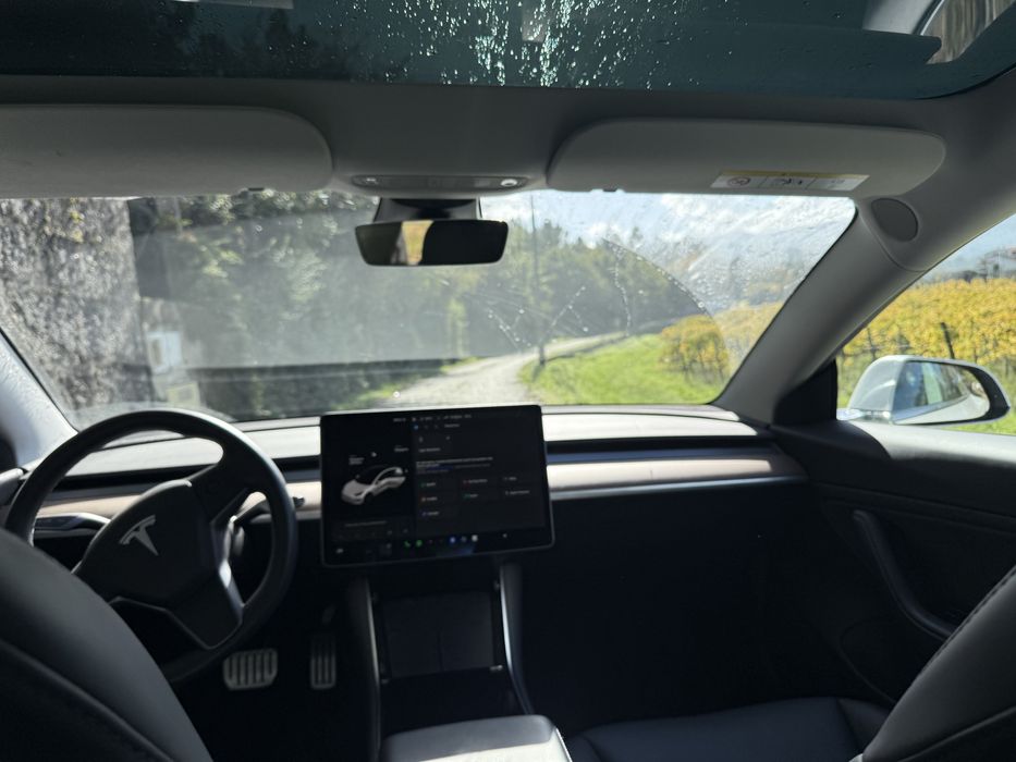 Tesla Model 3 Perfomance