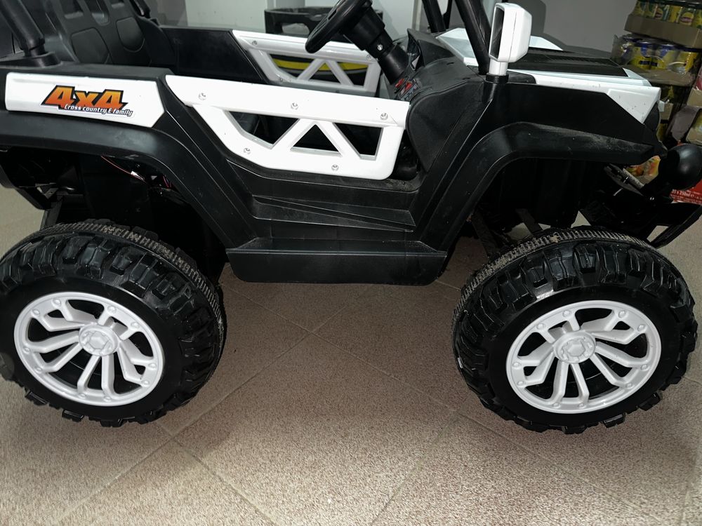 Carro gipe eletrico