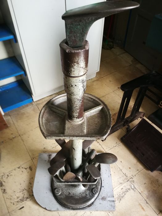 Vendo pé de sapateiro