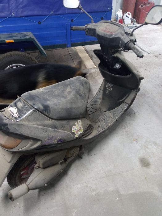 Suzuki sepia zz мопед