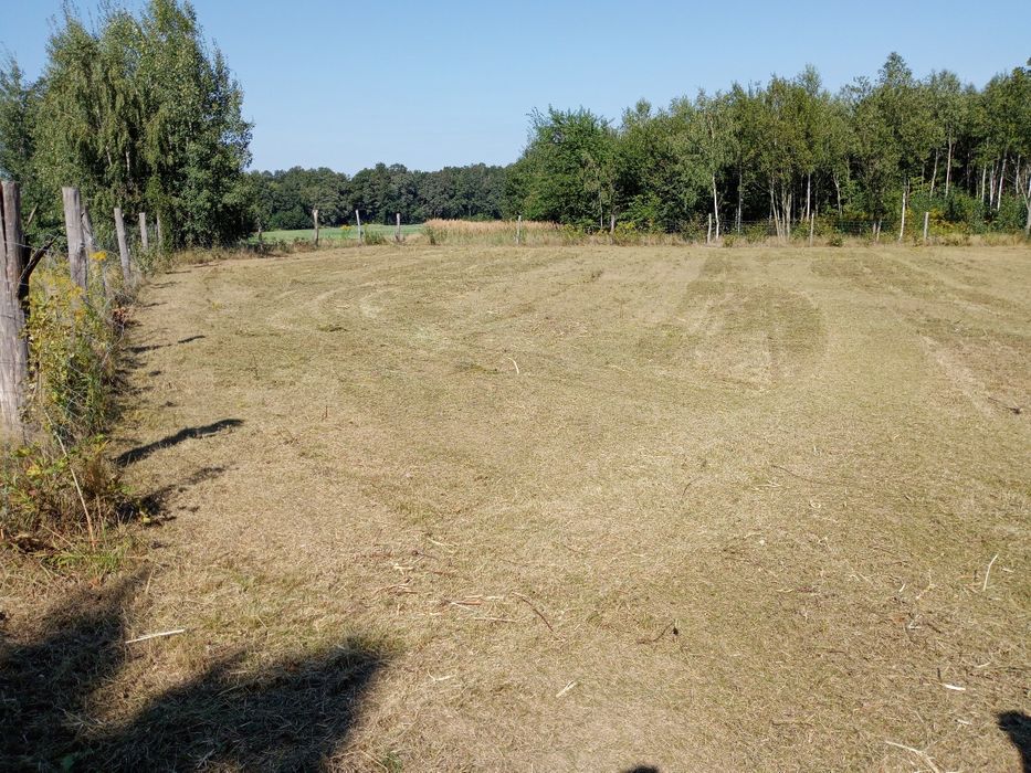 Koszenie|Wykaszanie|Mulczowanie Działek i Nieużytków|Kosiarka Bijakowa