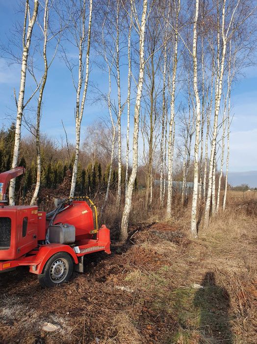 Tanio,wycena gratis.Wycinka drzew,uslugi mulczerem,rebakiem