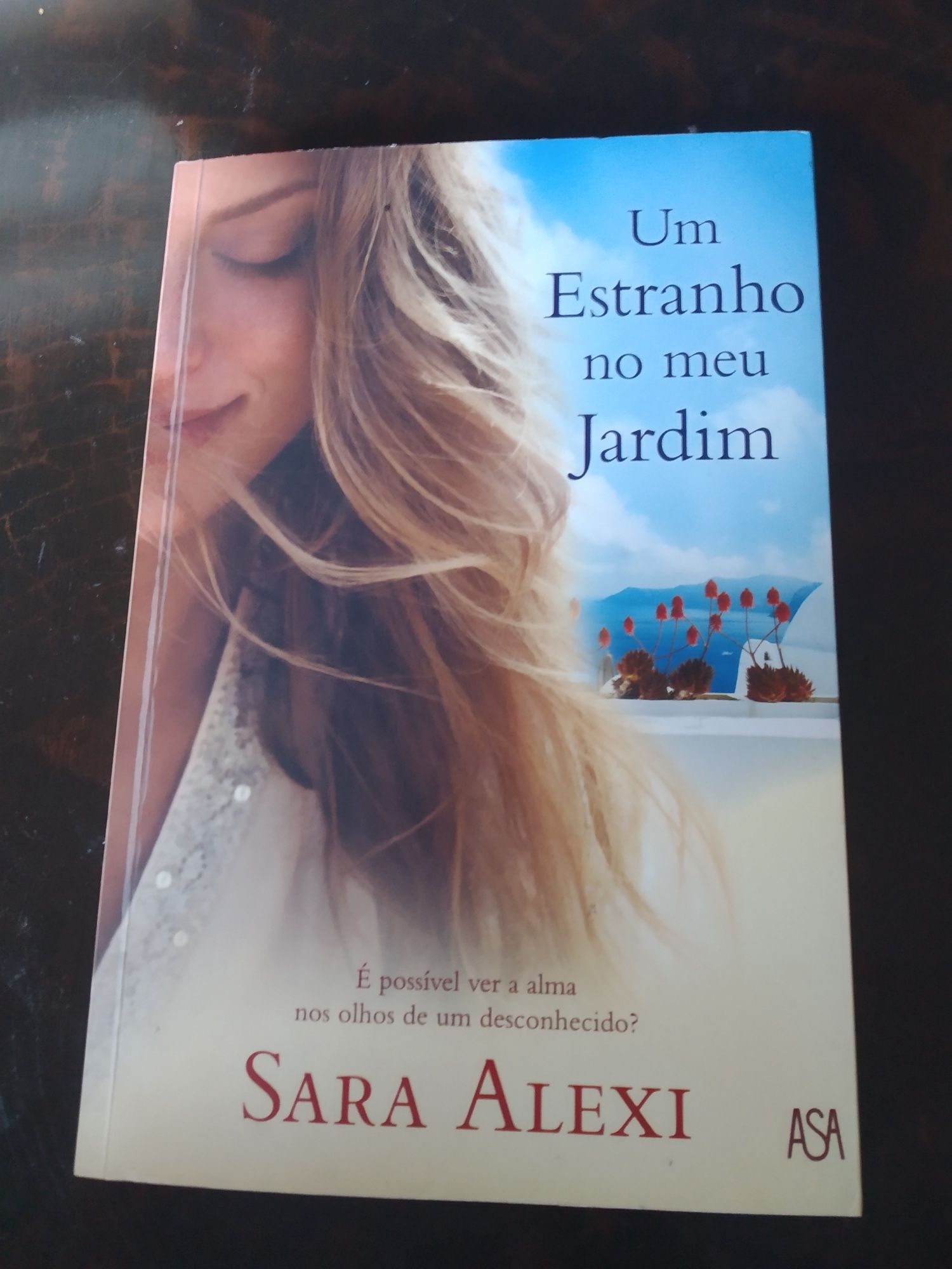 Romances e outros livros  -excelente oportunidade