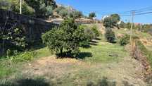 Terreno agricola junto a estrada