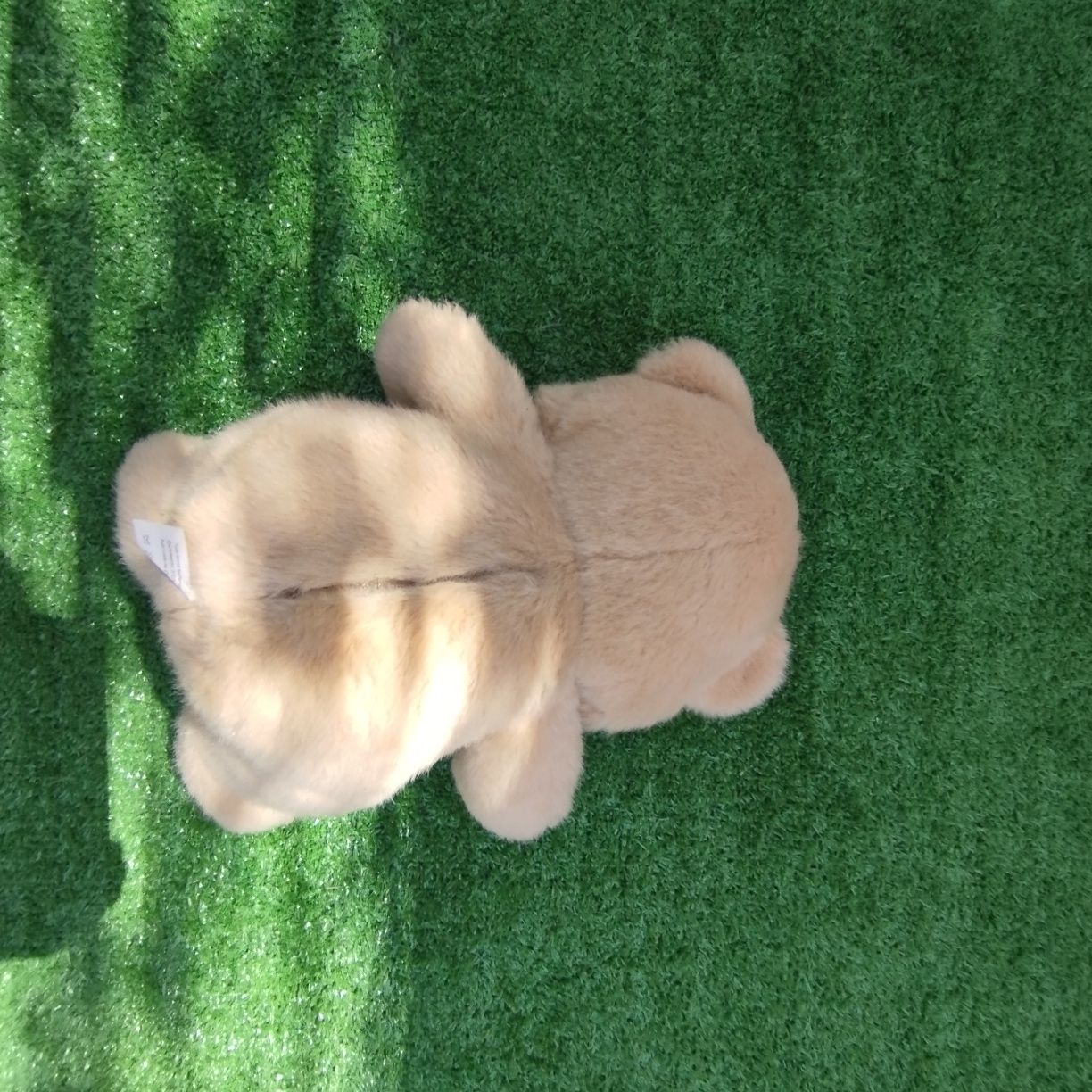 Urso de Peluche falante