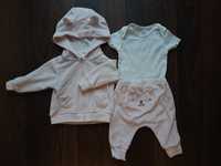 Carter's zestaw 3el. bluza body, spodenki - koala r.62