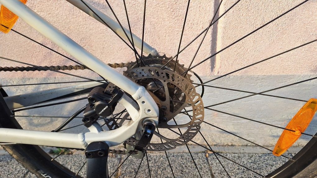 Giant Roam 3 Disc 2022 Szary