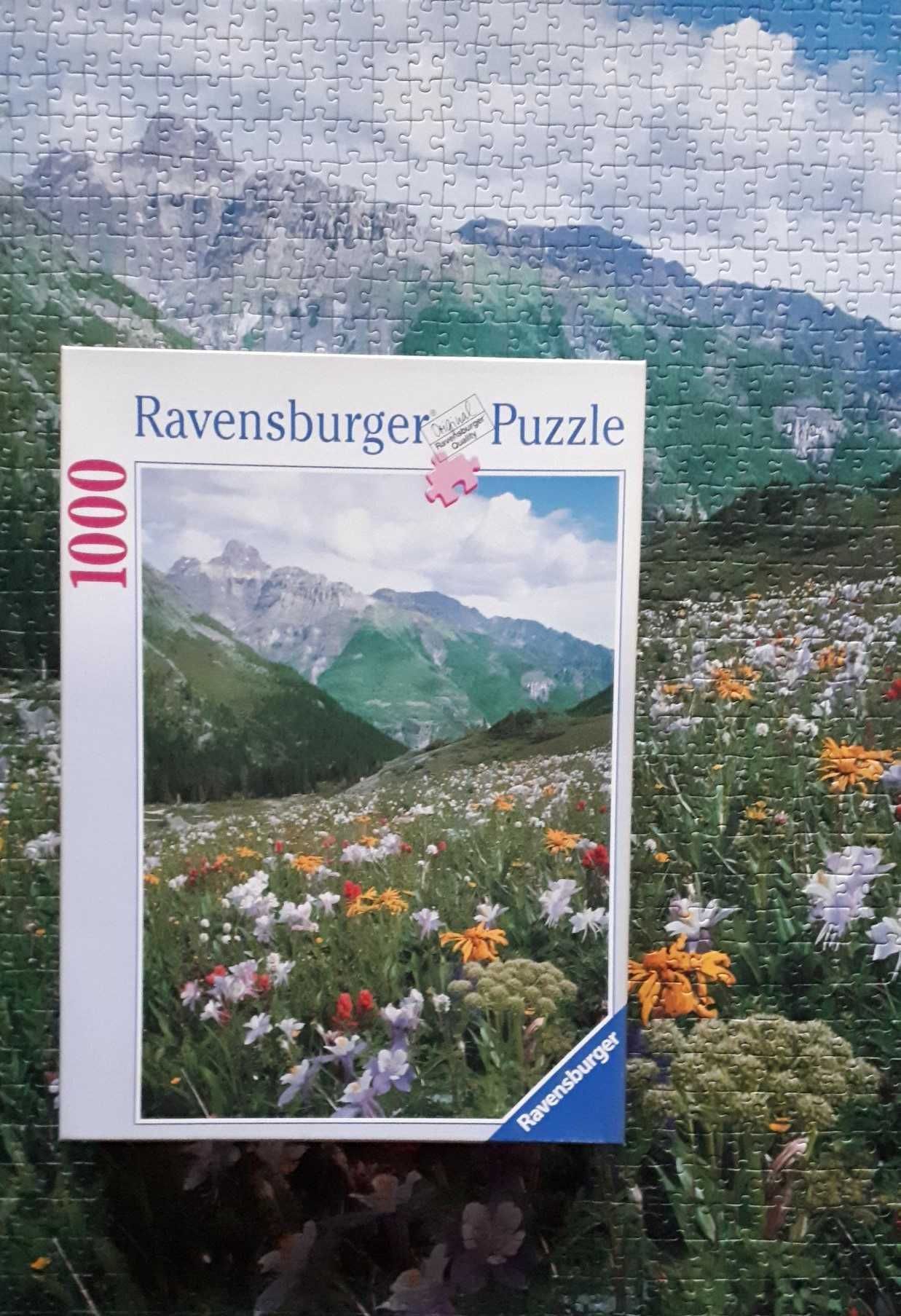 Puzzle 1000 Ravensburger Łąka u podnóża Mount Sneffles