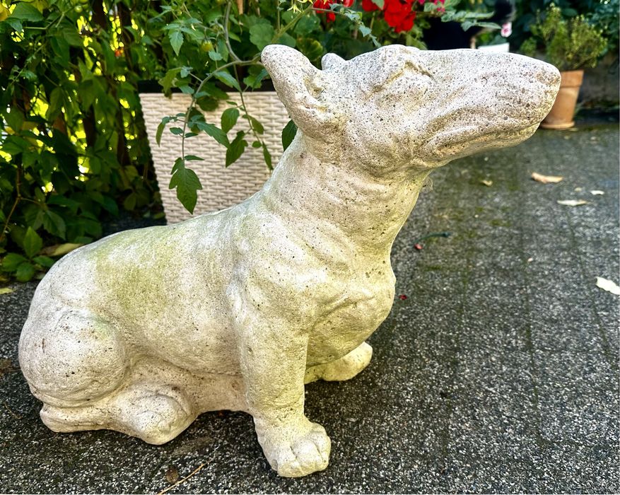 Rzeźba psa bullterier pies betonowa figurka do ogrodu sztuka