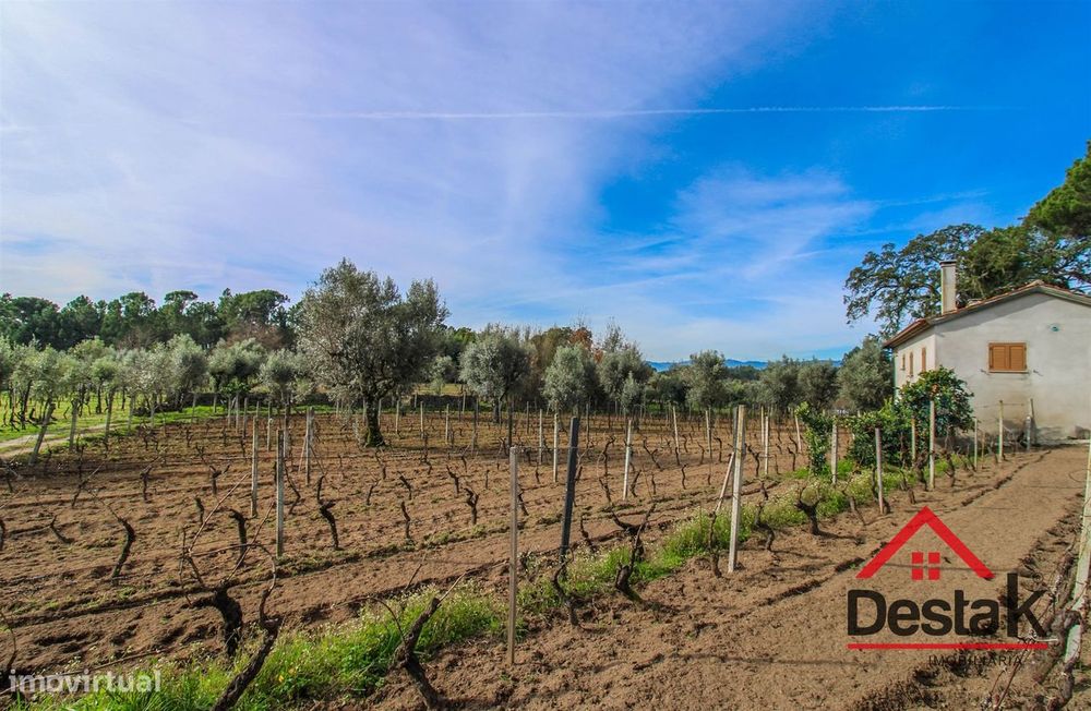 Quinta Vinhateira na região do Dão em Passos de Silgueiros