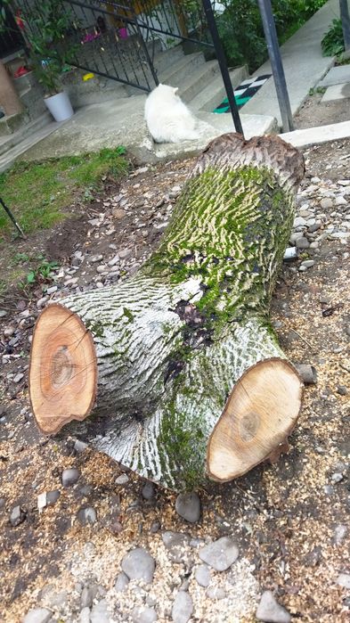 Продам горіха на дошку.