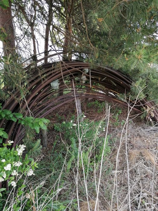 Pałąki stalowe do tunelu foliowego