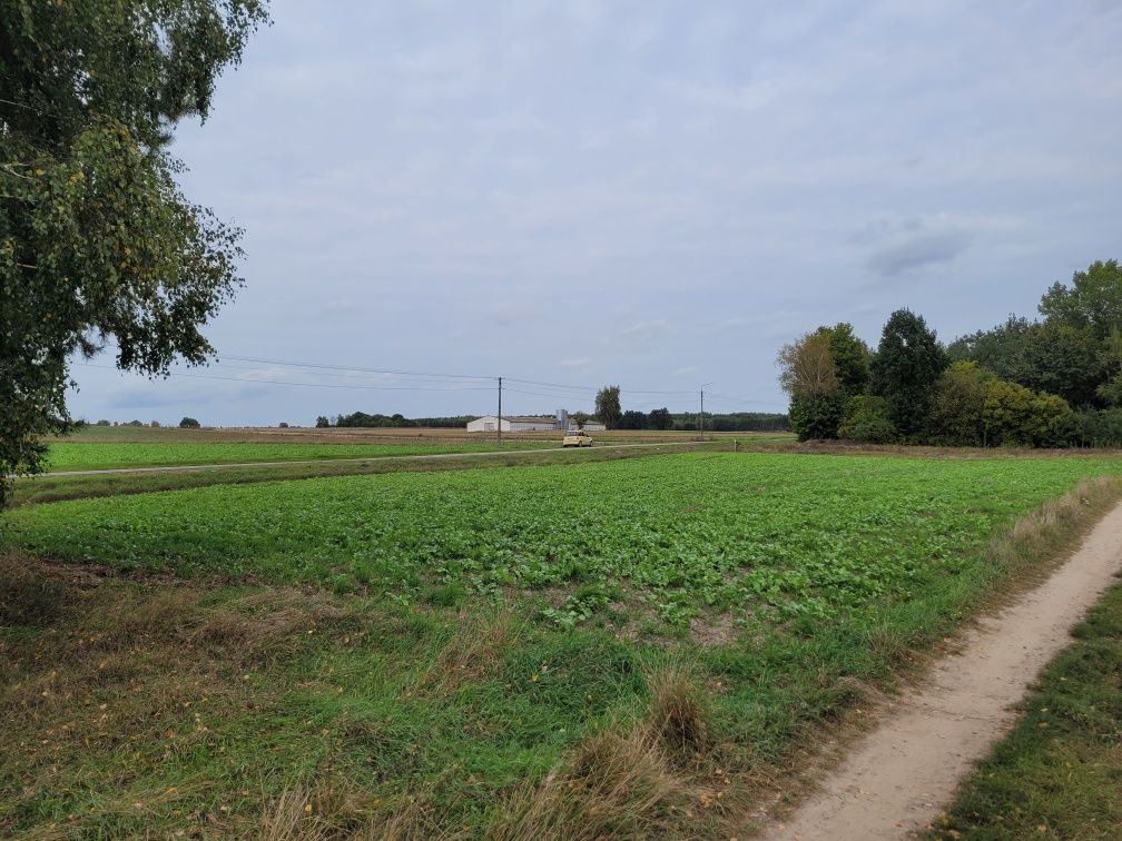 Działka 17,7a Jedlanka Stara k. Iłża