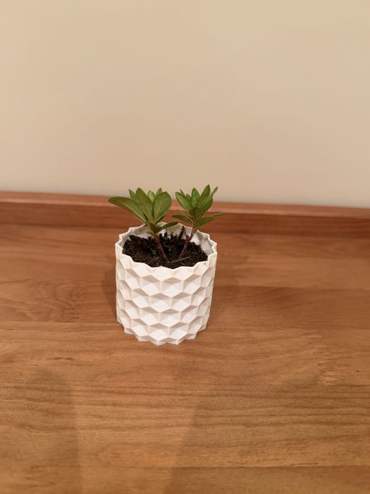 Vaso geométrico moderno impresso em PETG