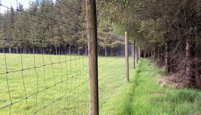 OGRODZENIE budowlane / tymczasowe . siatka leśna/słupki metalowe
