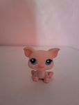 Figurka little pet shop świnki