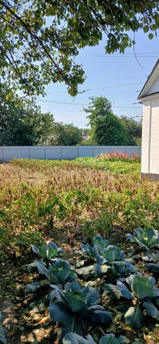 Продам   будинок