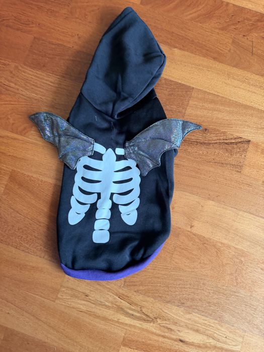 Ubranko dla psa na Halloween