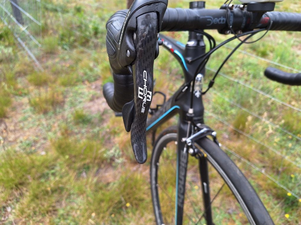 Bianchi INFINITO CV - 170 -180 cm
