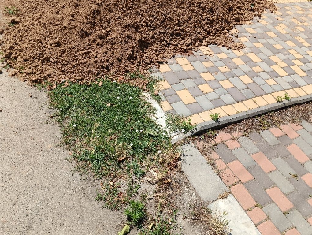 Віддам глину безкоштовно