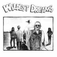 WILDEST DREAMS cd Wildest Dream  blues indi psyche folia