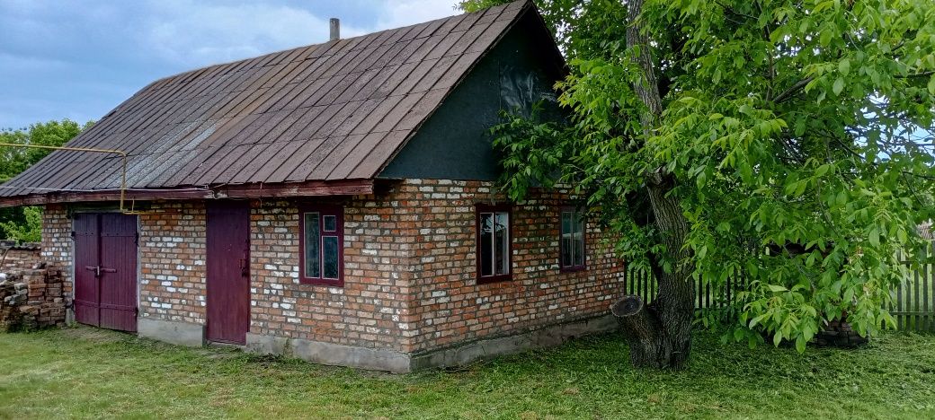 Будинок в селі Матусів Черкаська область