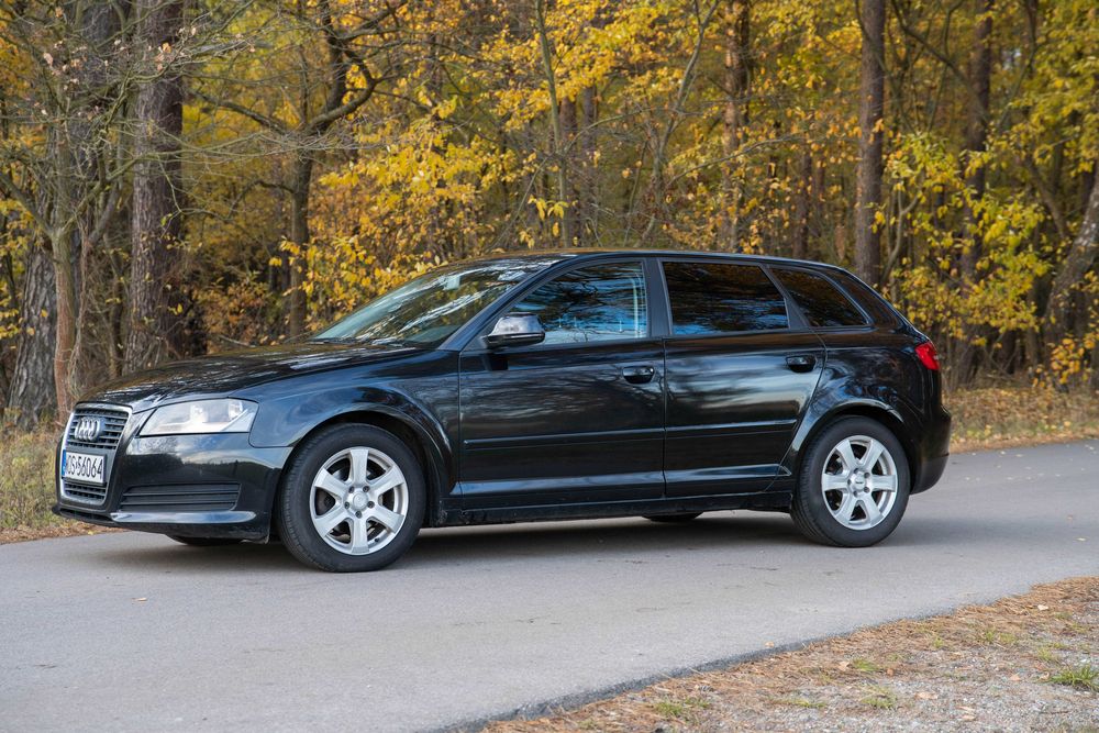 Audi A3 8P 1.9TDI