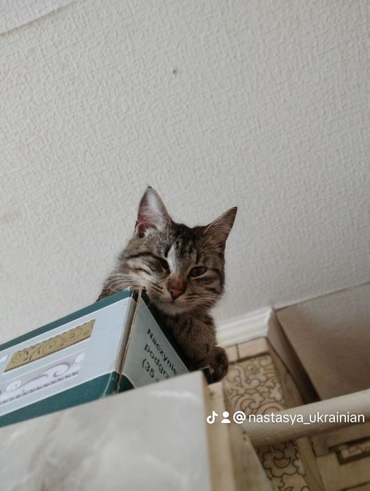 !Терміново! Пропав друг $ВИНАГОРОДА$