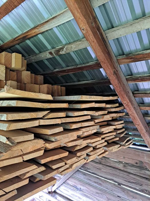 Tarnica bukowa  deski