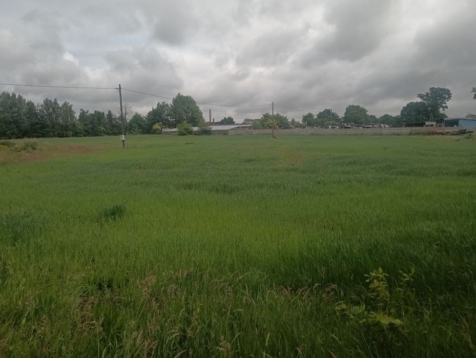 Działka budowlana 85 arów/ lub 50 arów