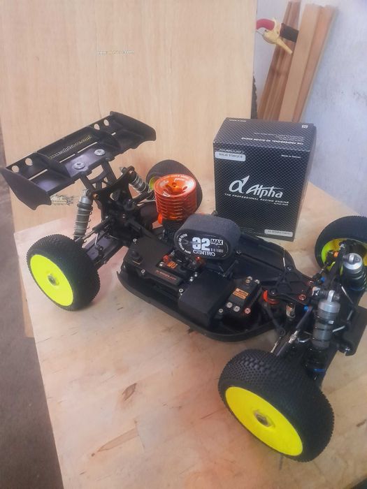Buggy Hot Bodies d815