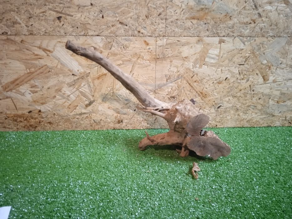 Korzeń do akwarium Red Moore Wood nr 209 o wymiarach 37/17/17