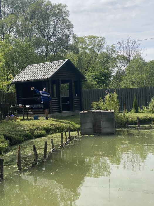 Дача в лісі с. Грушово (рибник)