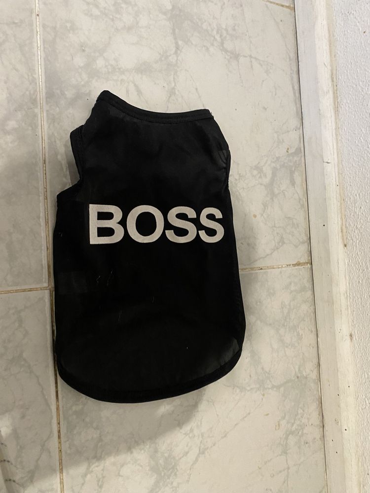 Camisola para cão pequeno