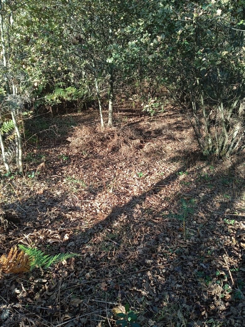 Vende-se terreno agrícola com monte