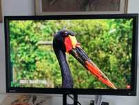 Monitor BenQ BL2420PT 24 cale